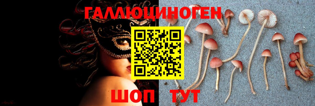 Псилоцибиновые грибы Magic Shrooms Котельники