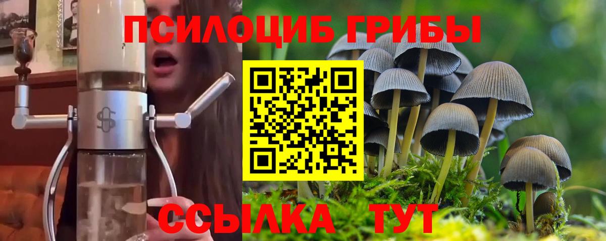 Галлюциногенные грибы Psilocybe  Вход с VPN  что такое   Псилоцибиновые грибы MAGIC MUSHROOMS  Котельники 