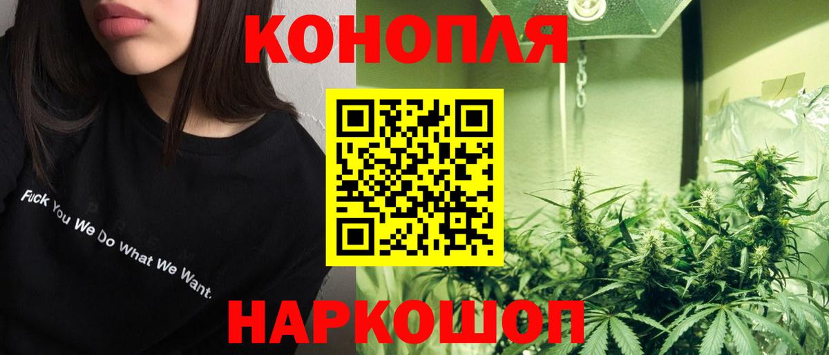 Шишки марихуана ГИДРОПОН  Канабис индика  Шишки марихуана семена  Вход с VPN  Котельники 